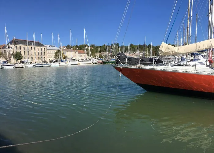 Isatis Mortagne-sur-Gironde